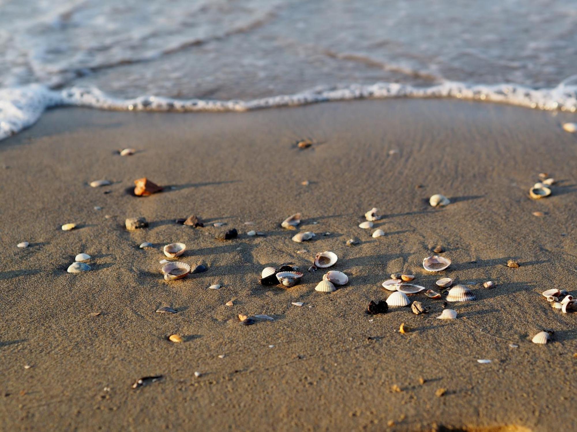 Cozy 250 Metres From The - Beahost - * Bibione
